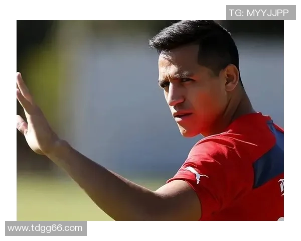 荷兰球星桑切斯的逆袭之路从无名小将到绿茵传奇的奋斗历程