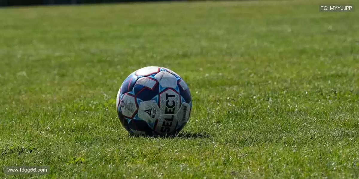 ⚾️从本土联赛到国际巅峰，我们承包你的所有热爱！🌍